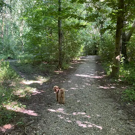 Lägenhet Bakkely Hjortshoj