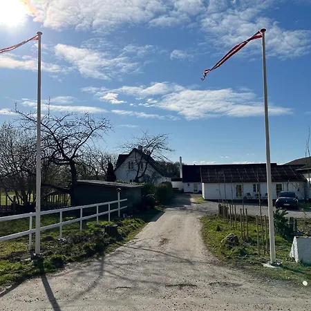 Bakkely Hjortshoj