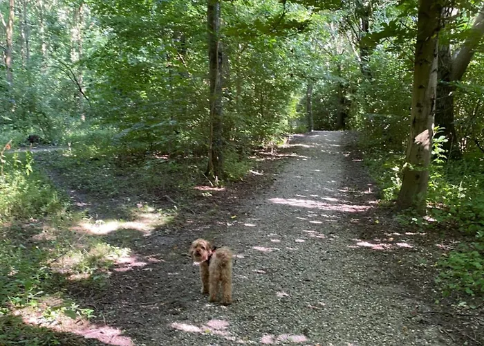 דירה Bakkely Hjortshoj